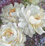 (image for) White Roses